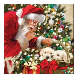 Pacote Com 20 Guardanapos 33x33cm De Papel Just Be Quiet Fsc Mix